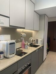 Normanton Park (D5), Apartment #502211911